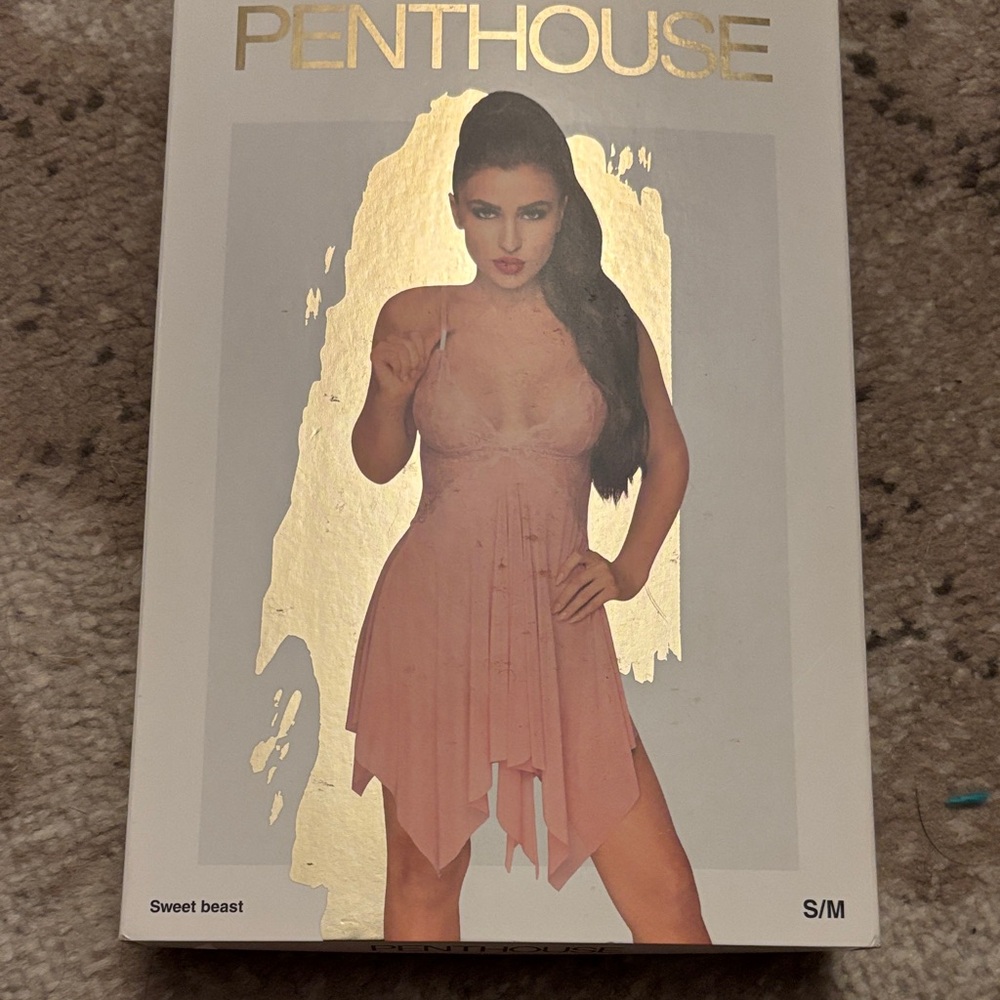 Penthouse Pink Lingerie Dress